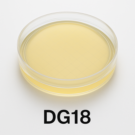 Hygienekontrolle mit Laboruntersuchung Lüftungsanlage nach VDI6022